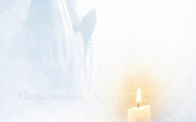 Festividad de Nuestra Señora de Lourdes